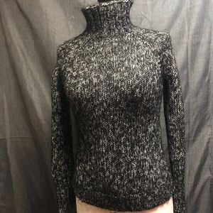Express turtleneck sweater
